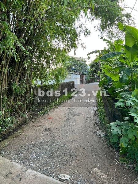 Chính chủ gửi bán lô đất tại thôn Phượng Nghĩa xã Phụng Châu, Chương Mỹ, Hà Nội