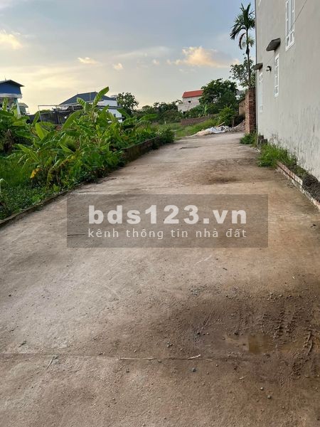 Chính chủ gửi bán lô đất tại thôn Phượng Nghĩa xã Phụng Châu, Chương Mỹ, Hà Nội