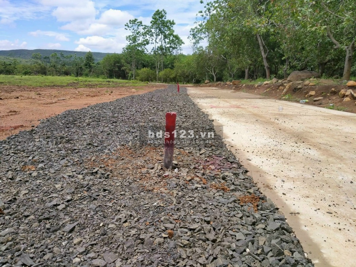 Đồng Tâm - Đồng Phú giá đầu tư sinh lời 660.000 / 1m2 đường lớn