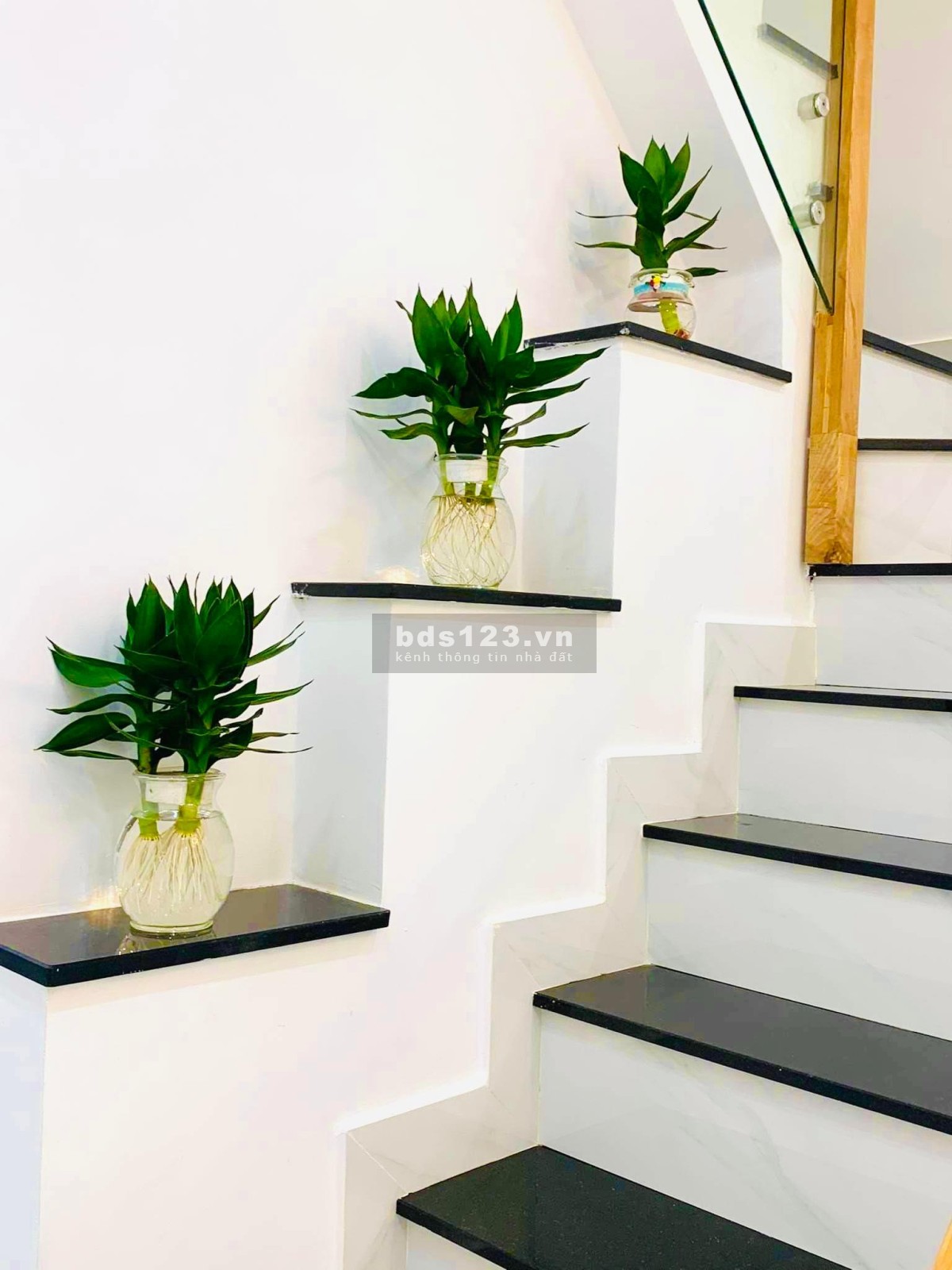 Bán nhà Tô Hiến Thành hẻm thông Hồ Bá Kiện quận 10 DT 42m², giá 5,5 tỷ đồng