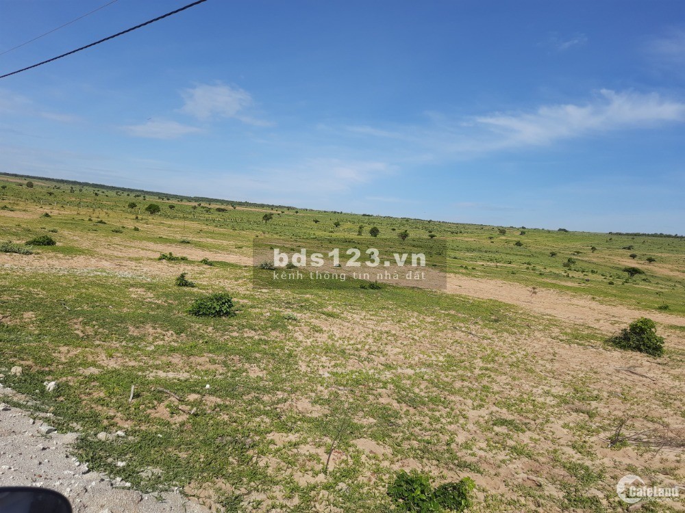 3 lô đất Sông Lũy, Sổ riêng có đường, hơn 8 sào/sổ, giá chỉ 140k/m2. Bao sổ mới 100%