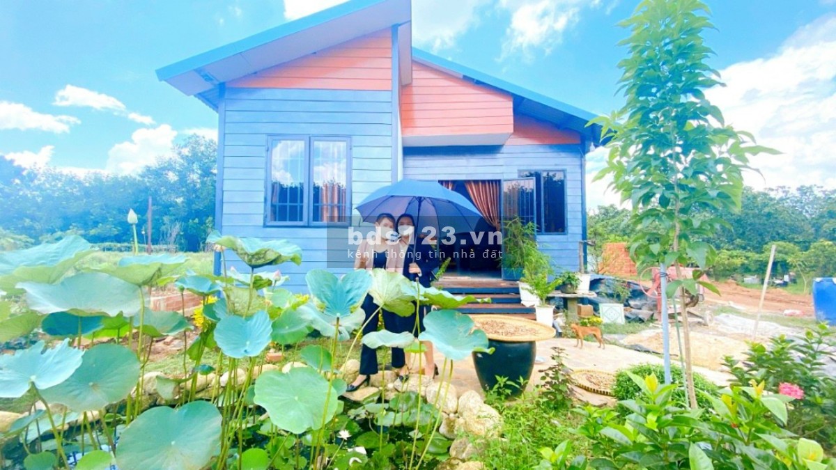 Đất thổ cư gần thành phố Đồng Xoài giá rẻ sổ sẵn, bàn giao ngay