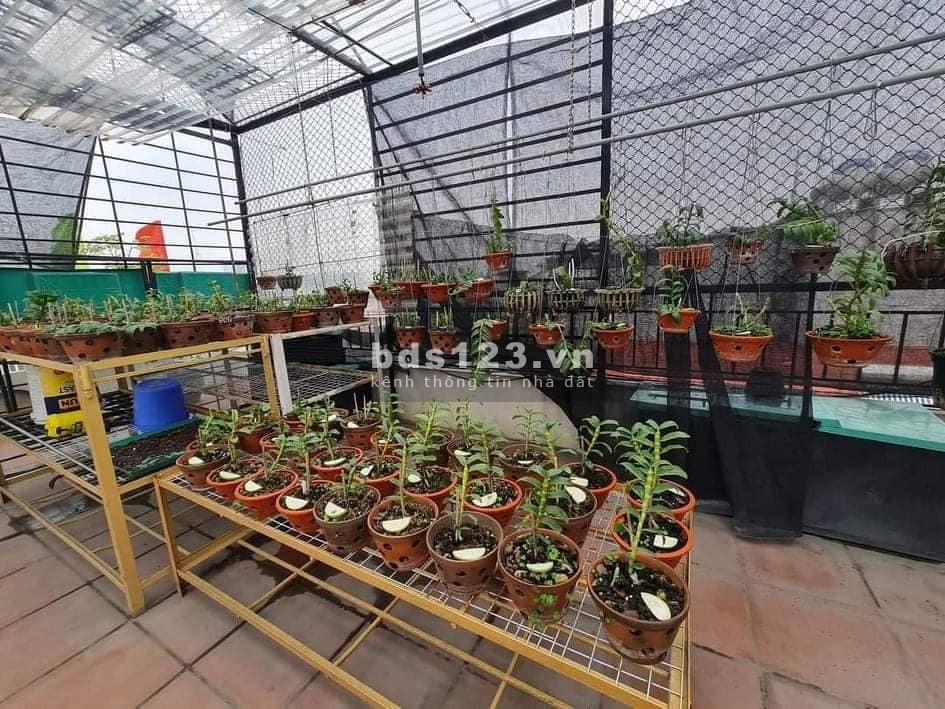Bán nhà lô góc mặt phố Long Biên vỉa hè rộng kinh doanh sầm uất, giá tốt