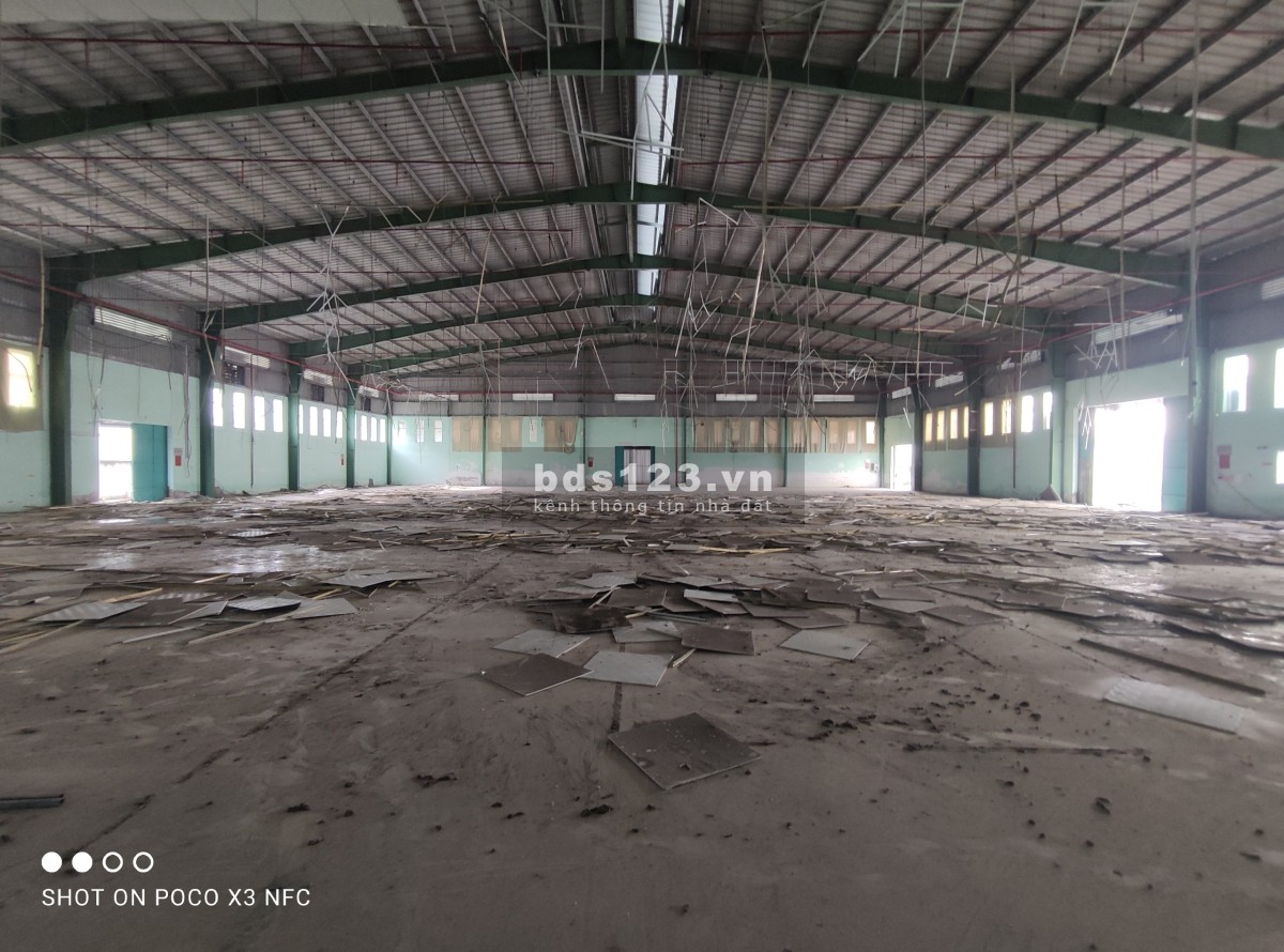 Cho thuê kho xưởng mới dtsd 5000m2 KCN Hải Sơn, Đức Hoà, Long An