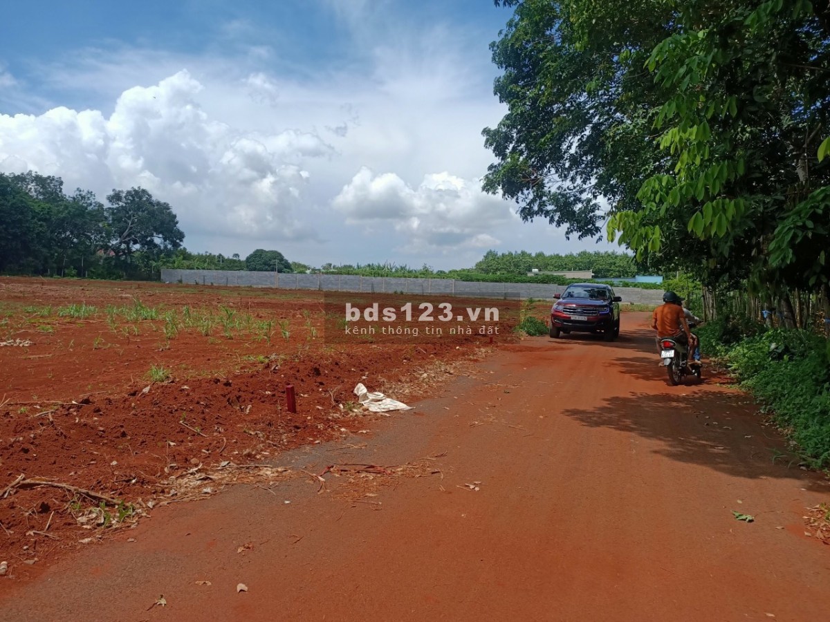 Đất nền biệt thự vườn Long Phước giá cực sốc sổ hồng từng nền riêng biệt
