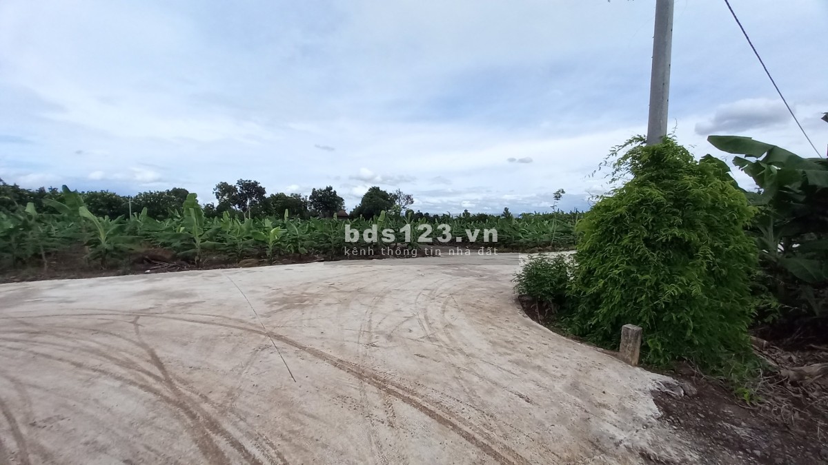 Bán Đất Vườn Sông Thao - Trảng Bom sổ riêng đầu tư sinh lời, giá tốt