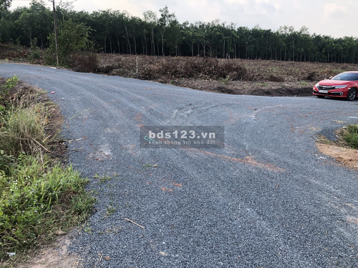 Bán đất sào ở tân hà diện tích 1000m vuông giá 547tr , được ngân hàng hỗ trợ cho vay 400tr