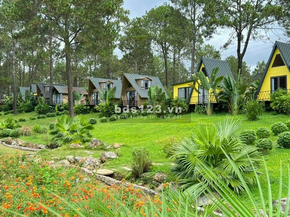 Đất nhà cần bán gấp diện tích 500 m2 giá 350 triệu tại xã Lộc An thành phố Bảo Lộc