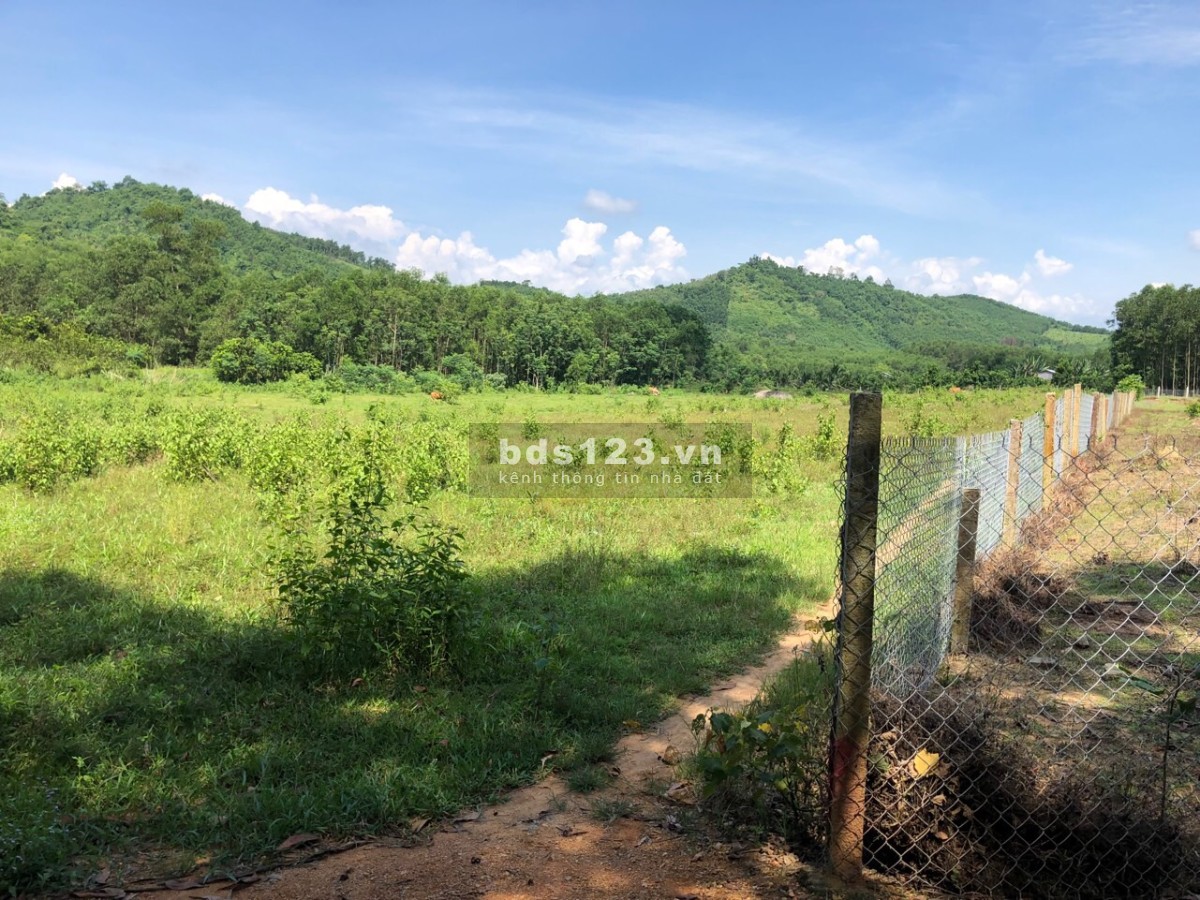 Chính chủ bán đất vườn Khánh Đông liên hệ 0799900702