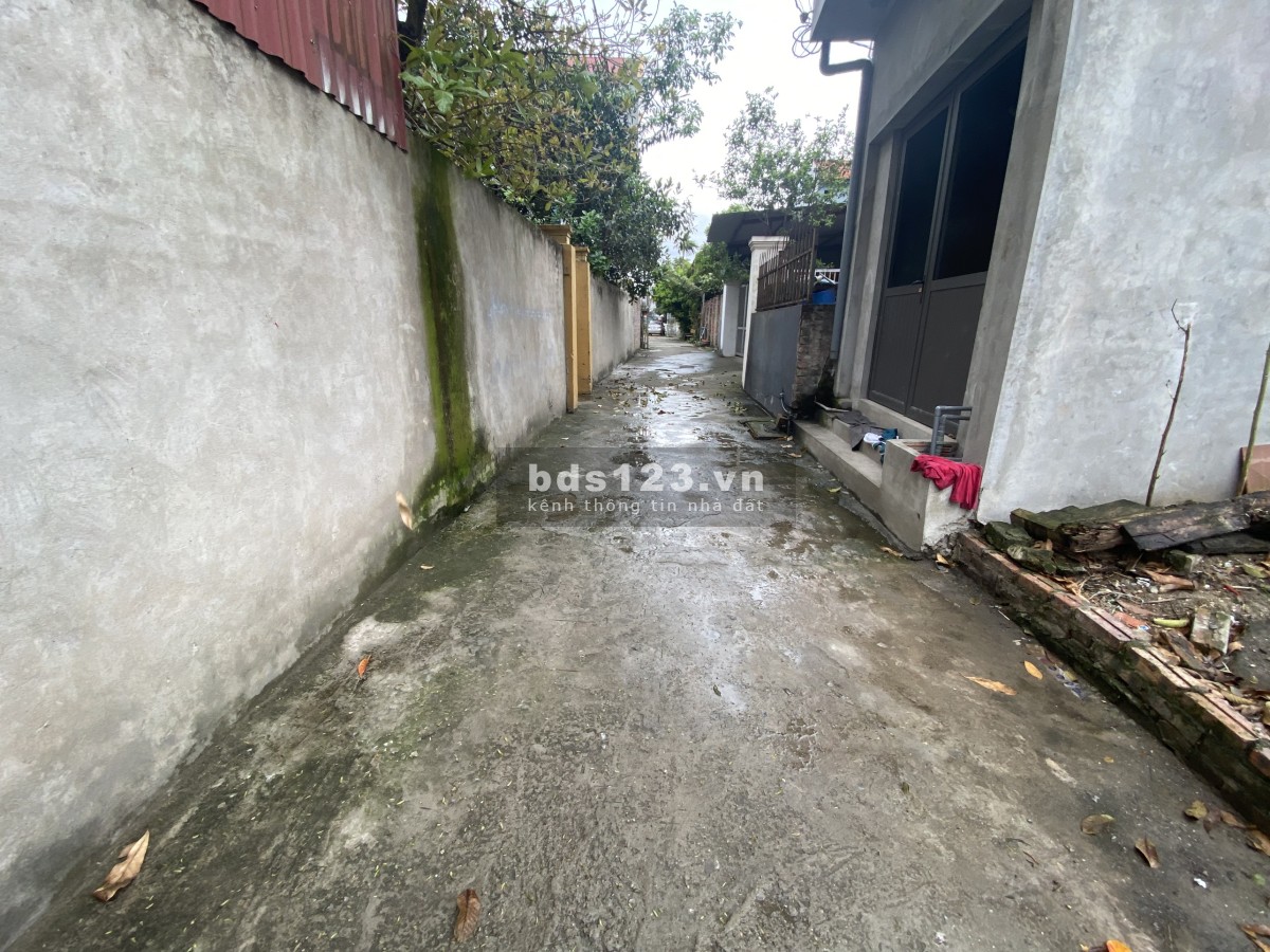 Em chính chủ bán lô góc 53,8m2. Lương Quy Xuân Nộn Đông Anh Hà Nội đường ô tô đỗ ngõ thông