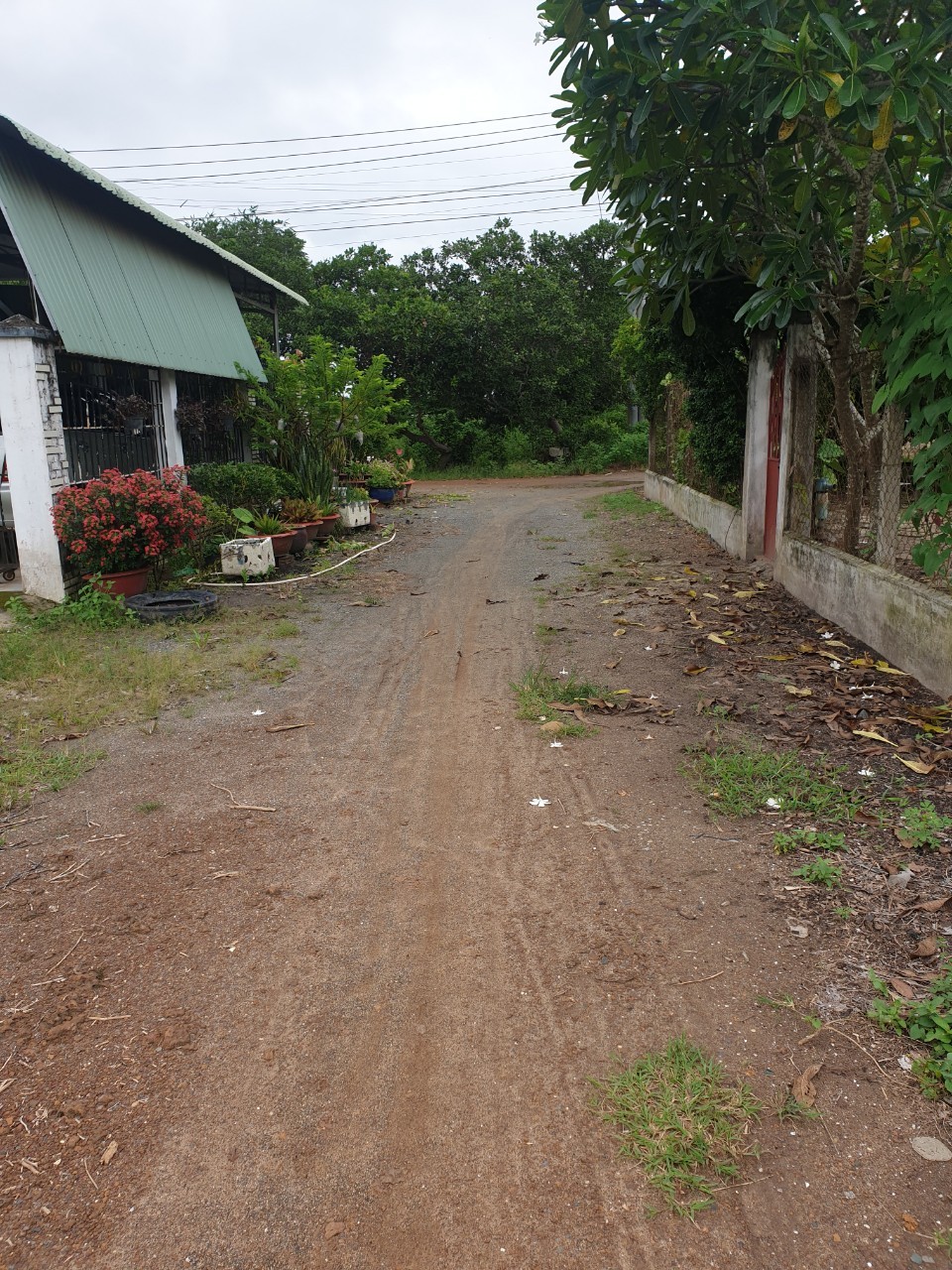 Chính chủ cần bán đất tại Tân Hưng Tân Châu, thành phố Tây Ninh, giá tốt