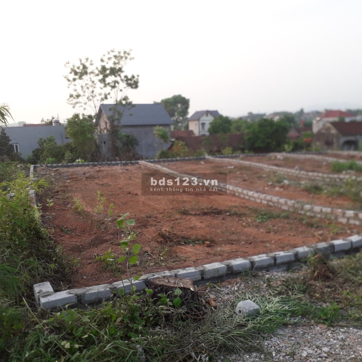 Chính chủ bán gấp mảnh đất full thổ cư thị trấn kép Lạng Giang