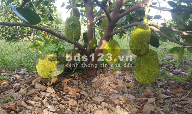 Bán đất khu dân cư cách sân bay Long Thành 4km, giá chỉ 2.69 tỷ, liên hệ 0932729823