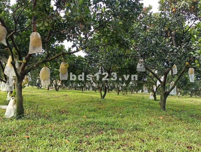 Bán đất khu dân cư cách sân bay Long Thành 4km, giá chỉ 2.69 tỷ, liên hệ 0932729823