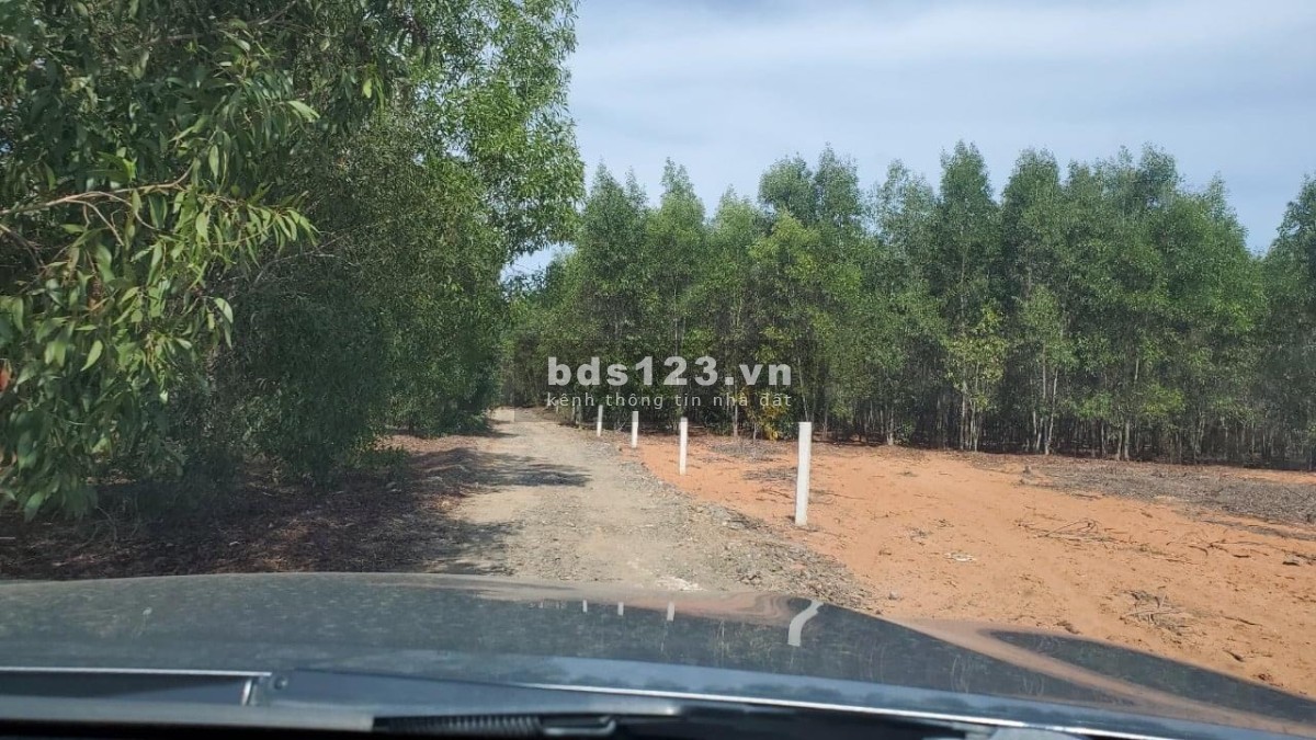 Đất TT Lương Sơn, cách KDC 600m, SHR 8725.3m2, đường đất ô tô vào tới nơi