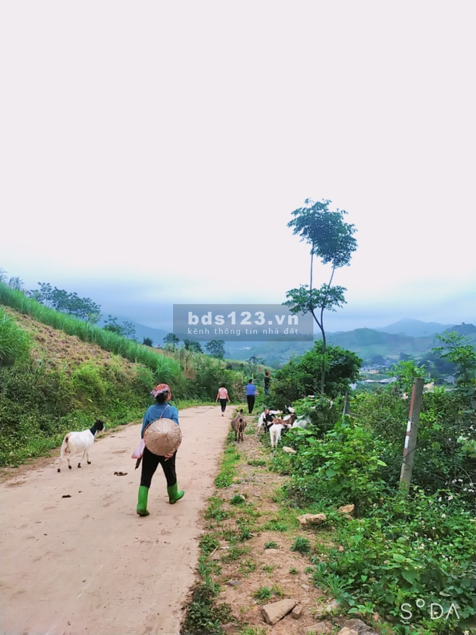 Bán lô đất tại cao phong hòa bình view cao thoáng bám đường bê tông dài và siêu đẹp