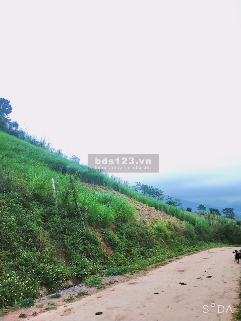 Bán lô đất tại cao phong hòa bình view cao thoáng bám đường bê tông dài và siêu đẹp