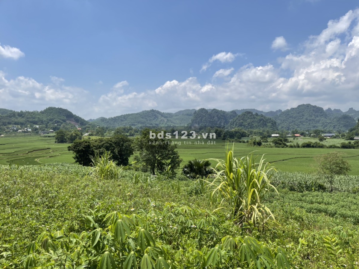 Bán lô đất tại cao phong hòa bình view cao thoáng bám đường bê tông dài và siêu đẹp