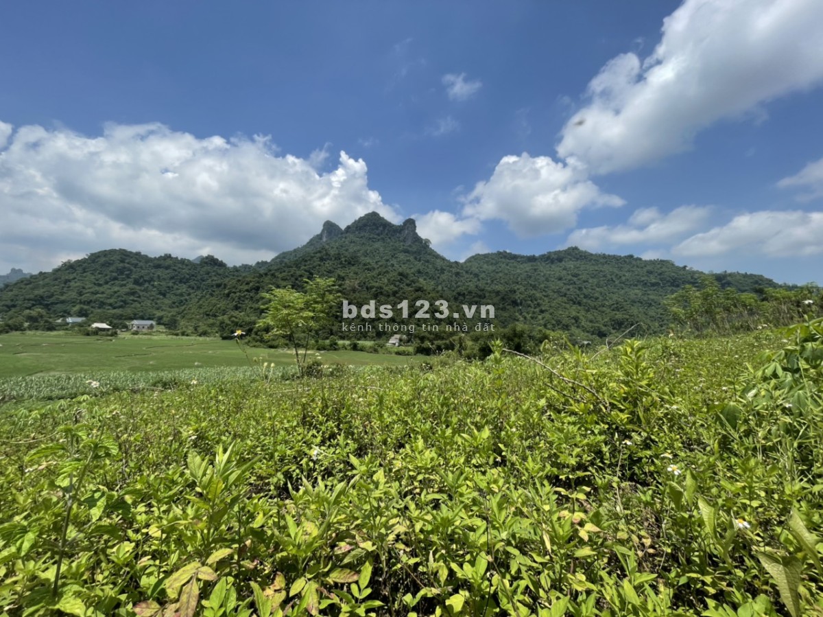 Bán lô đất tại cao phong hòa bình view cao thoáng bám đường bê tông dài và siêu đẹp