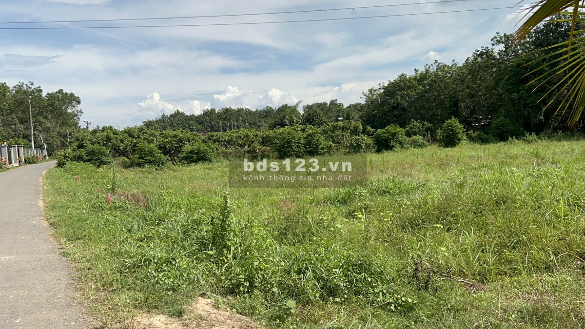 Bán 693m2 đế thổ cư 100% lo viện phí. Đất vị trí đẹp.Khu dân cư xung quanh