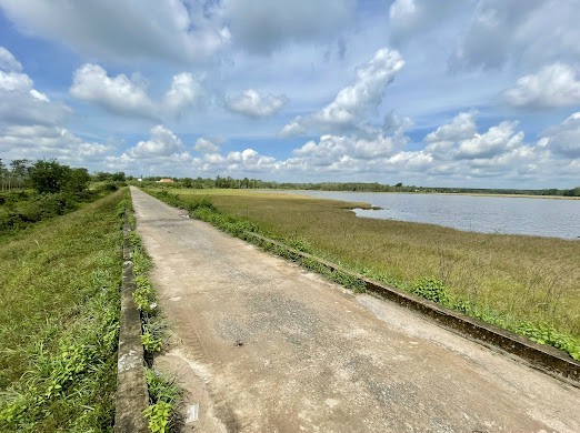Đất nền view hồ sen rộng 16ha chỉ có 7 nền đấy ODT ở thị trấn Tân Khai view hồ siêu đẹp, sổ