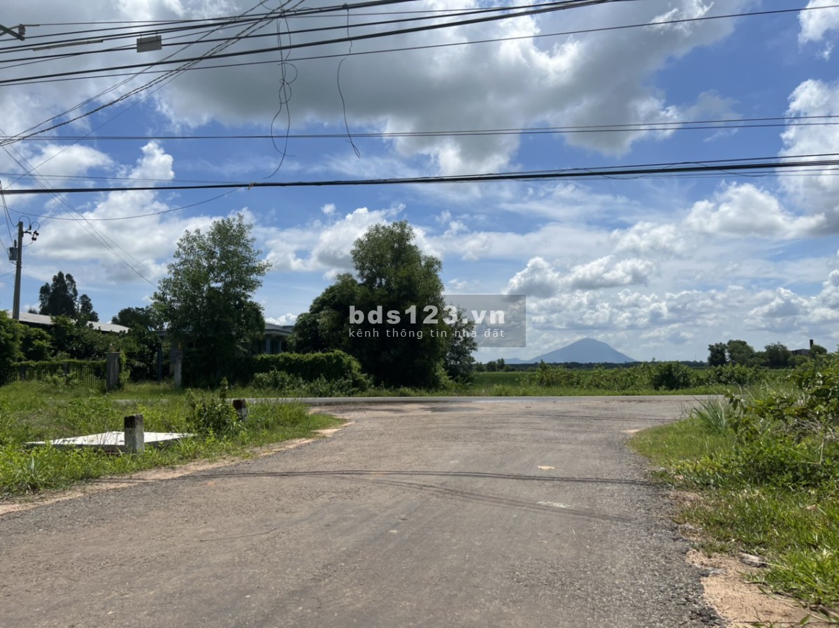 Đất Châu Thành Tây Ninh mặt tiền nhựa giá chỉ 290 triệu hỗ trợ vay ngân hàng