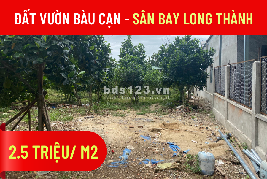 Bán vườn mít đang thu hoạch, DT 1070m2, Chỉ 2.7 tỷ, Cách sân bay Long Thành 3km, 0932729823