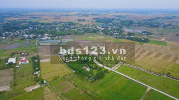 Bán nhanh 2000m2 đất vườn tại mặt tiền Tỉnh Lộ 7 Củ Chi mua sang tên ngay