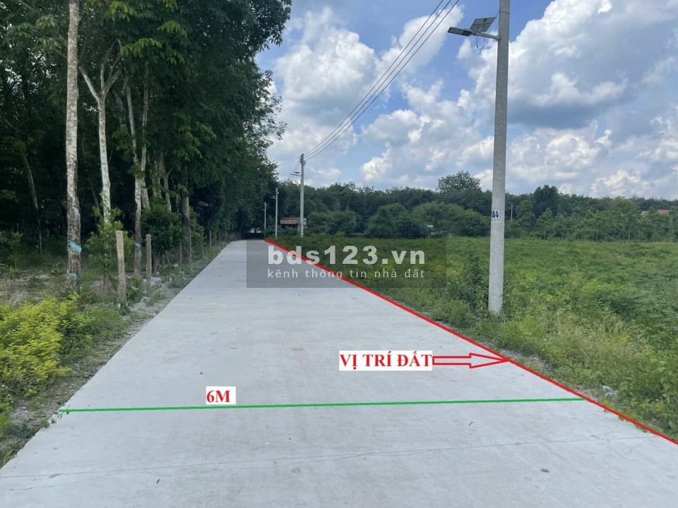 Cần tiền bán gấp lô đất thuộc xã An Bình, huyện Phú Gíao, tỉnh Bình Dương