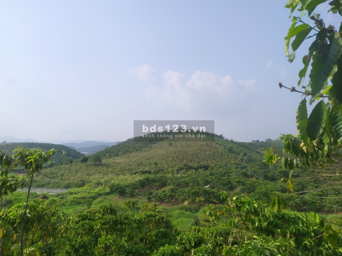 Bán vườn mặt tiền đường tại thôn 2 Lộc Phú, Bảo Lâm, Lâm Đồng lh 0909370517