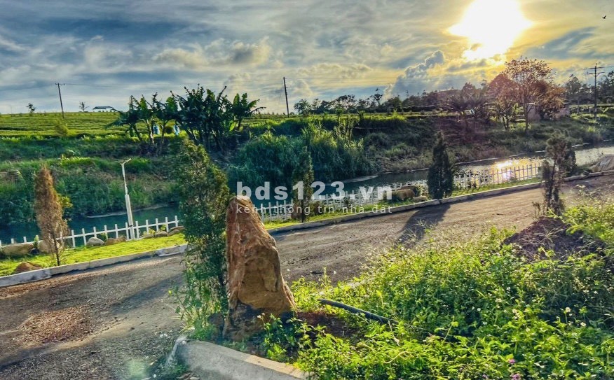 Wind Hill làng nghỉ dưỡng sinh thái giá tốt đầu tư sinh lời cao