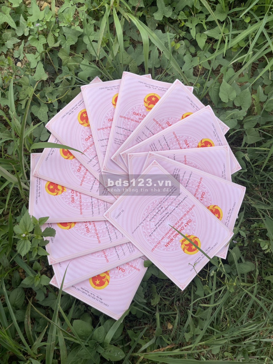 Ra gấp mảnh đất vườn, giá rẻ nhất khu vực Định Quán. VIEW HỒ TRỊ AN CỰC ĐẸP