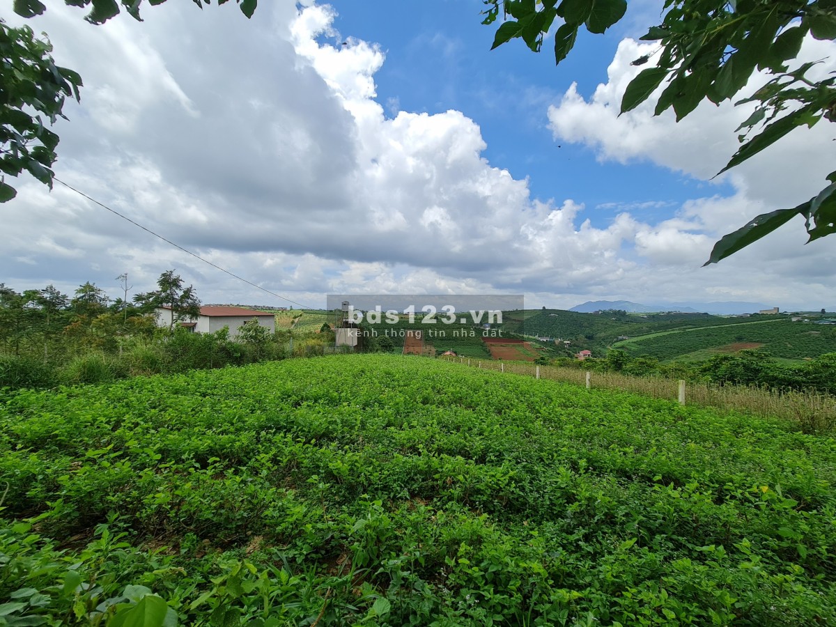 Bán Đất View Đồi Nghỉ Dưỡng 1709m2, đường Tôn Thất Thuyết, Đam Bri, TP. Bảo Lộc chỉ 2tr/m2
