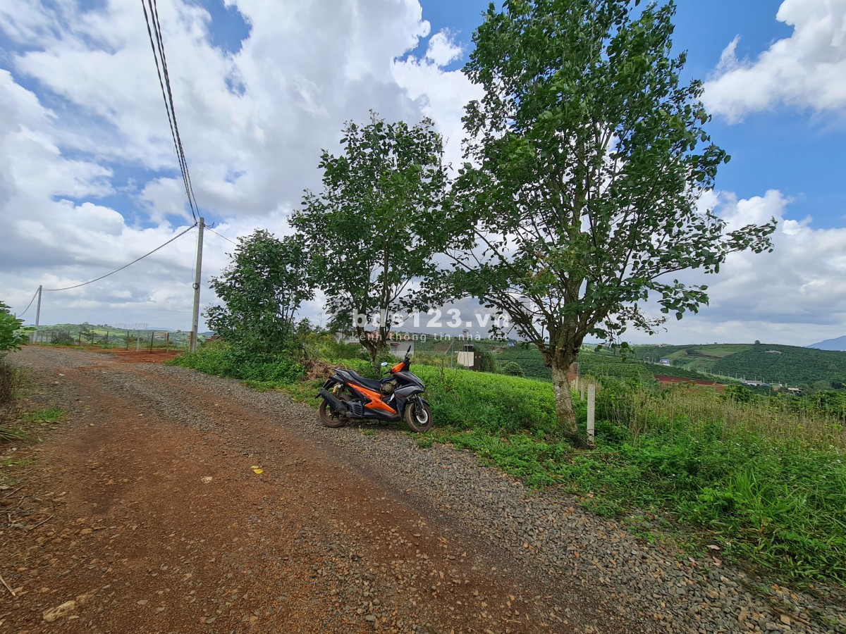 Bán Đất View Đồi Nghỉ Dưỡng 1709m2, đường Tôn Thất Thuyết, Đam Bri, TP. Bảo Lộc chỉ 2tr/m2