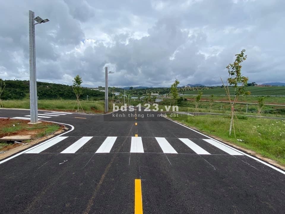 Đất nghỉ dưỡng Bảo Lộc view hồ tự nhiên, view đồi thông, đồi chè 500m² thổ cư sổ sẵn