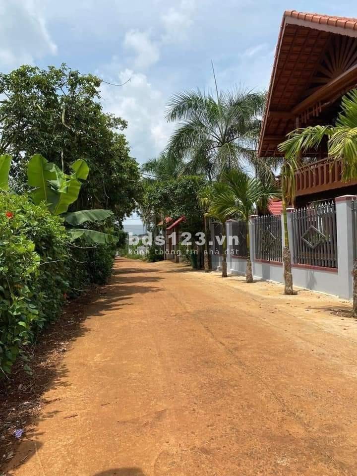 Bán gấp nhà yến 1,5ha đất kế bên UBND xã Tân Lợi giá 650 triệu