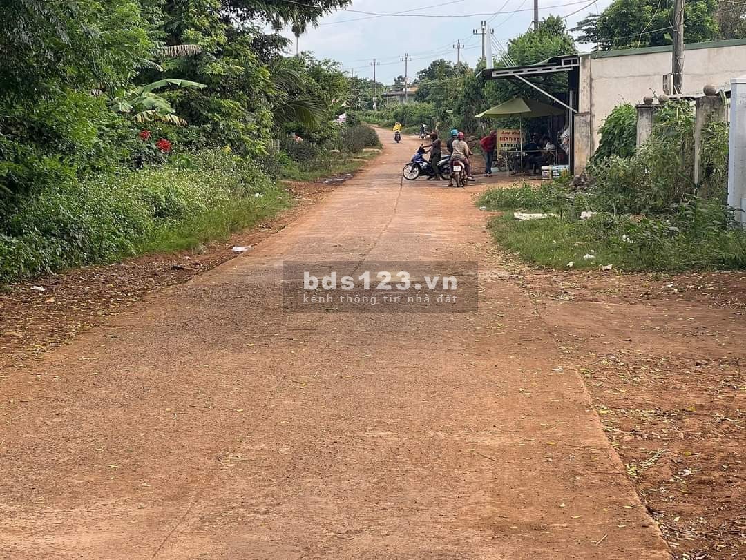 Bán gấp nhà yến 1,5ha đất kế bên UBND xã Tân Lợi giá 650 triệu