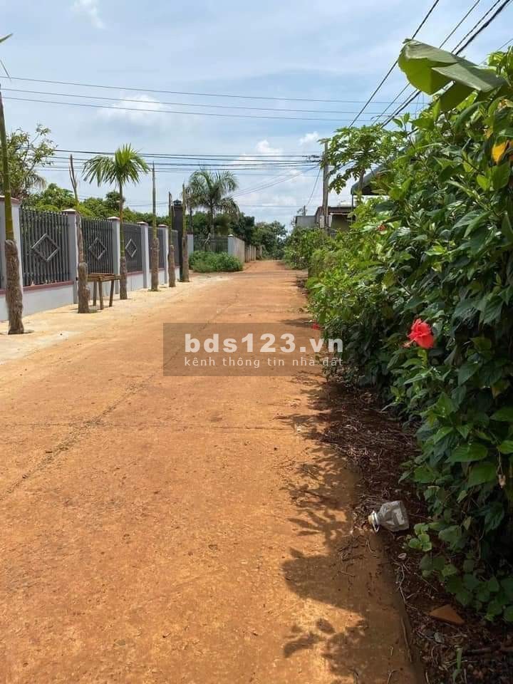 Bán gấp nhà yến 1,5ha đất kế bên UBND xã Tân Lợi giá 650 triệu