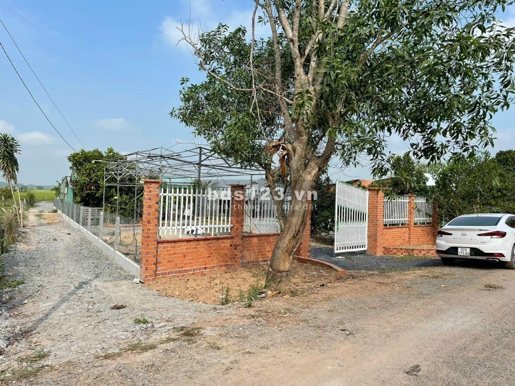 Bán đất vườn chính chủ 2 mặt tiền có sẵn nhà cấp 4 đường 1/Nguyễn Thị Rành
