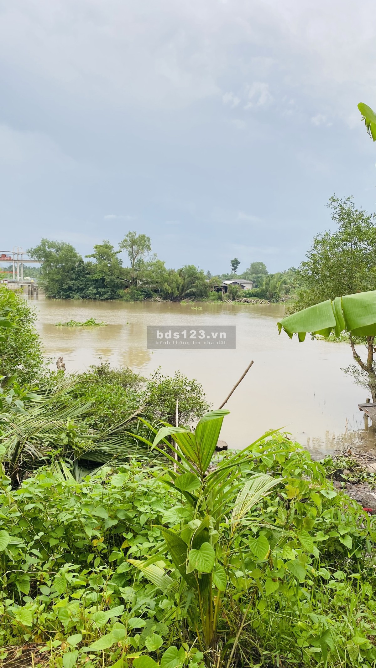 Bến Tre cần bán đất view sông mát mẻ, 2 mặt tiền giá rẻ nhất thị trường