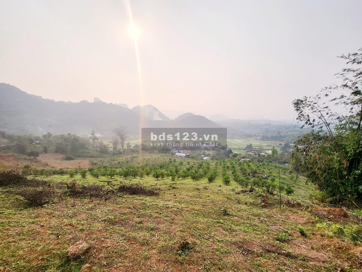 Cắt lỗ 6750m² có tới 2.000m² đất ở giá nhỉnh 400k/m² tại xã Hợp Phong, Cao Phong, Hoà Bình