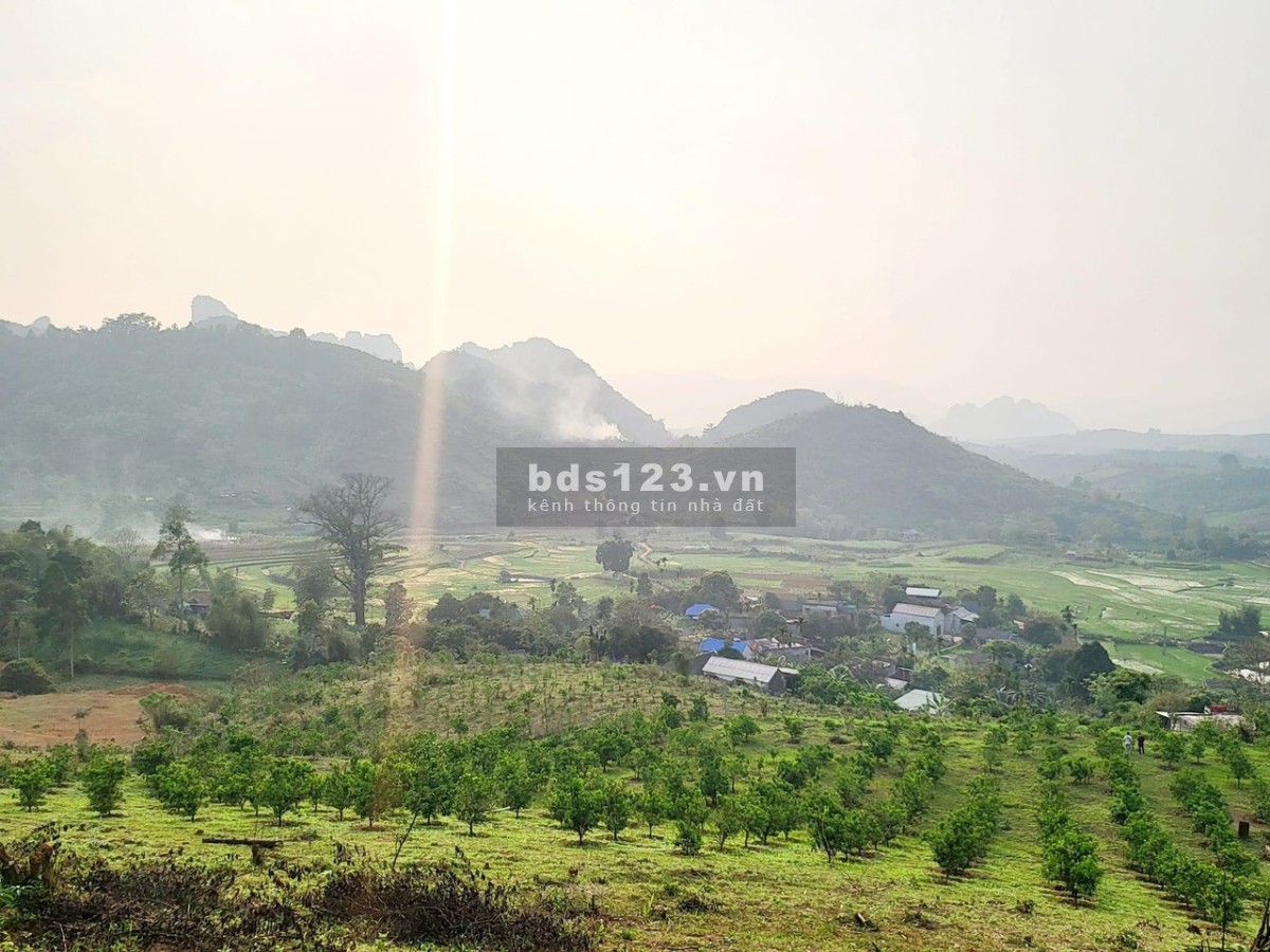 Cắt lỗ 6750m² có tới 2.000m² đất ở giá nhỉnh 400k/m² tại xã Hợp Phong, Cao Phong, Hoà Bình