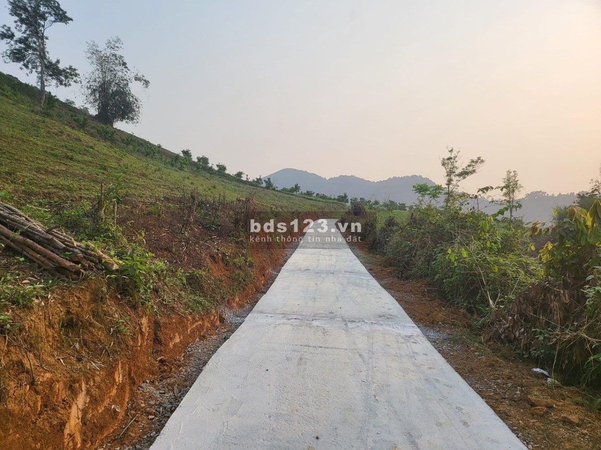 Cắt lỗ 6750m² có tới 2.000m² đất ở giá nhỉnh 400k/m² tại xã Hợp Phong, Cao Phong, Hoà Bình