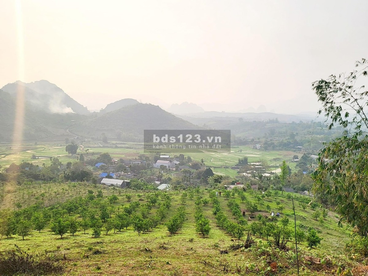 Cắt lỗ 6750m² có tới 2.000m² đất ở giá nhỉnh 400k/m² tại xã Hợp Phong, Cao Phong, Hoà Bình