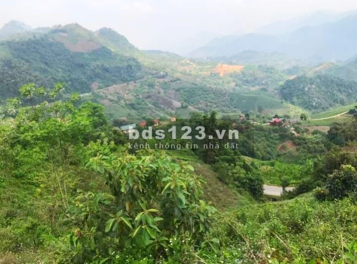 Bán đất tại Phú Khoa, Chiềng Khoa, Vân Hồ, Mộc Châu, Sơn La