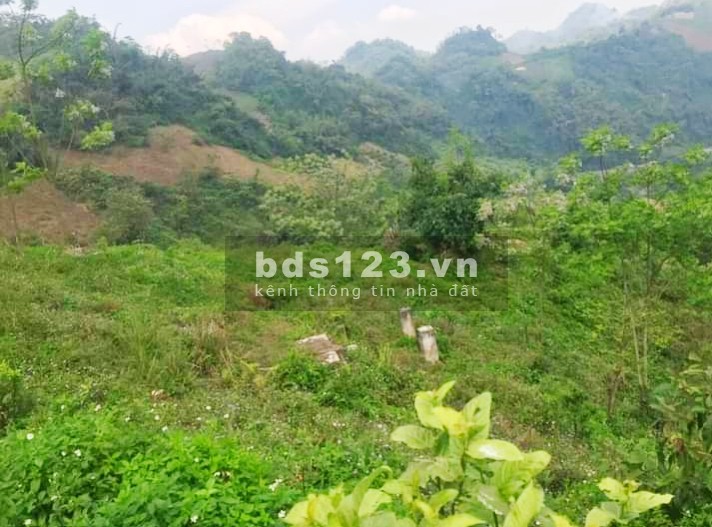 Bán đất tại Phú Khoa, Chiềng Khoa, Vân Hồ, Mộc Châu, Sơn La