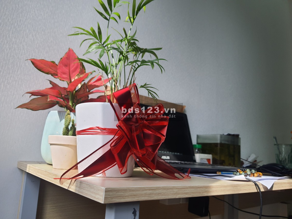 Siêu vị trí đường Hai Bà Trưng, Q3 gần nhà thờ Tân Định đường ÔTÔ 4.5x20m, 20,5 tỷ TL, Trệt, 2 lầu