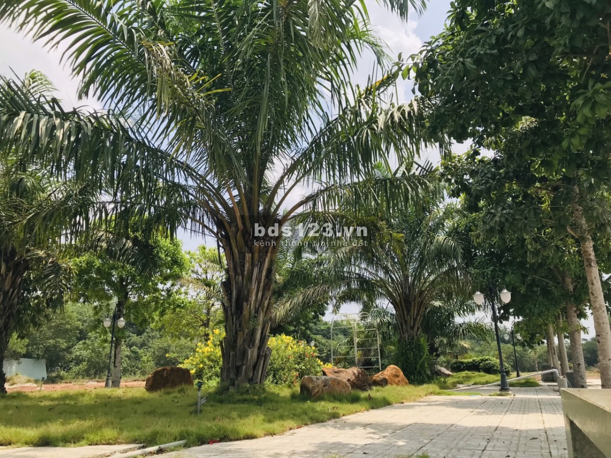 Khu Đô Thị Ruby City Bình Phước giá tốt đầu tư sinh lời, sổ sẵn