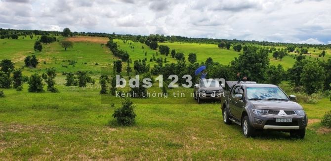 Bán đất trồng cây lâu năm Huyện Bắc Bình tỉnh Bình Thuận.LH 0903877847
