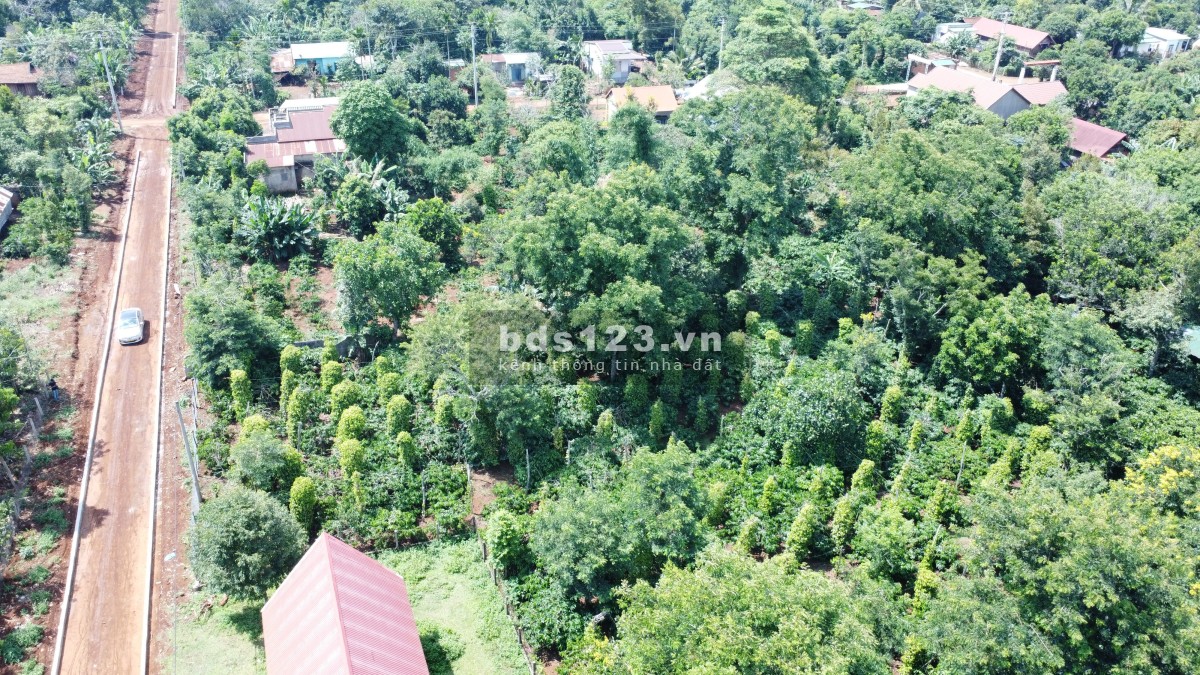Bán gấp lô đất thổ cư gần sân bay, diện tích 200m2 giá sở hữu 240tr